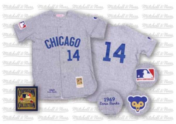 Mitchell and Ness Cubs #14 Ernie Banks Stitched Grey Throwback MLB Jersey