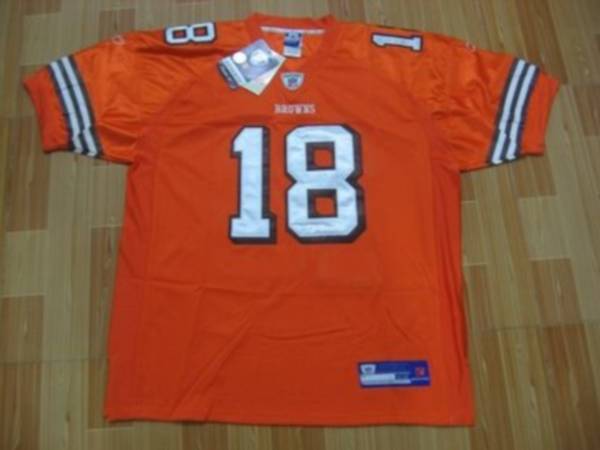 Browns #18 Donte Stallworth Orange Stitched NFL Jersey
