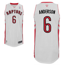  NBA Toronto Raptors 6 Alan Anderson New Revolution 30 Swingman Home White Jersey